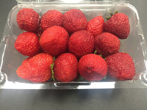 strawberries after being in a fridge with the pureAir FRIDGE air purifier
